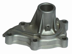 STAINLESS STEEL CASTING